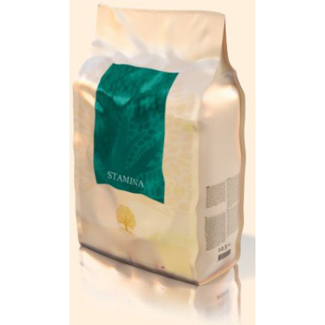 ESSENTIAL STAMINA 3KG - Vejl. 219,-