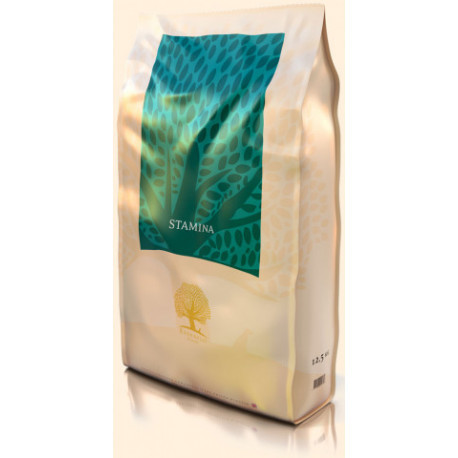 ESSENTIAL STAMINA 12,5 kg - Vejl. 599,-